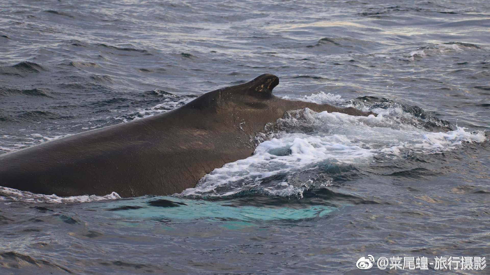 冰岛客场击败立陶宛，小组形势稍见曙光