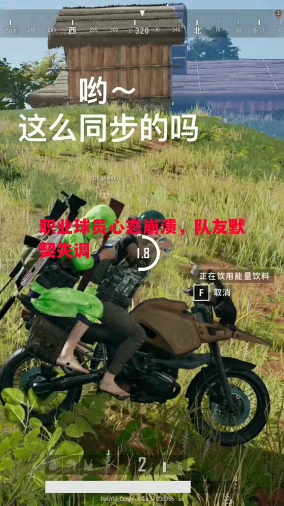 利记官方网站-职业球员心态崩溃，队友默契失调