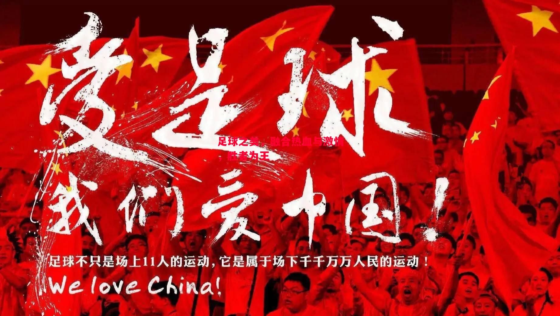 利记平台-足球之美，融合热血与激情，胜者为王