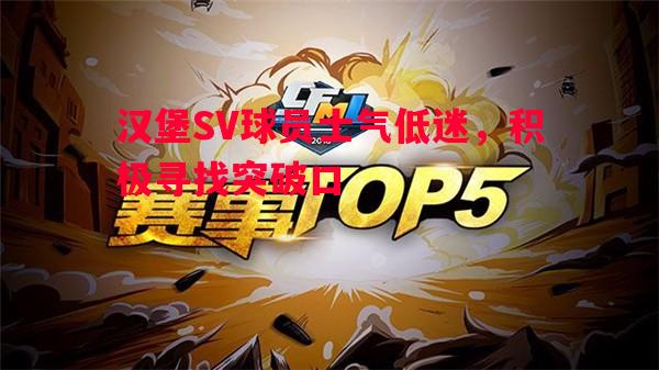 利记官方网站-汉堡SV球员士气低迷，积极寻找突破口