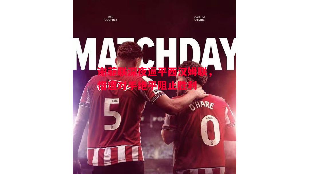 利记官网-谢菲联深夜逼平西汉姆联，惜遭对手绝平阻止胜利